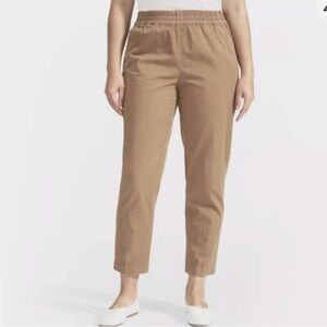 Everlane The Easy Pant Chinos